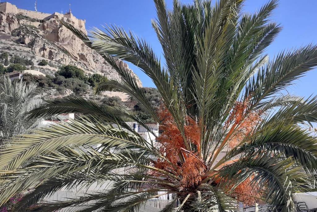 La Casita Azul Apartman Alicante Kültér fotó